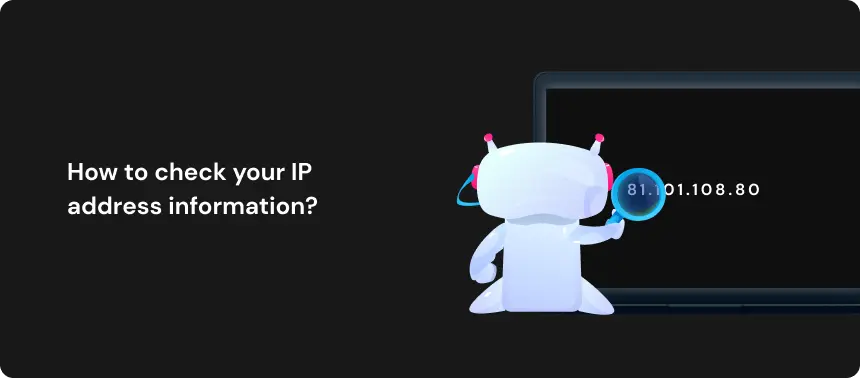 How to check your IP address information